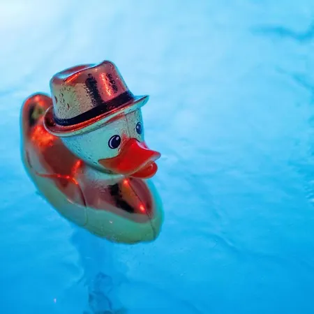 Les 1 Vue Piscine * Marsylia